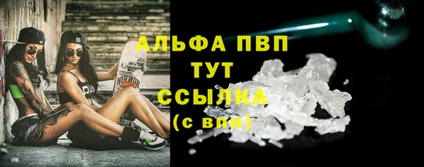 прущие грибы Абаза
