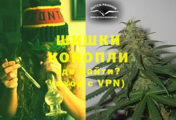 прущие грибы Абаза