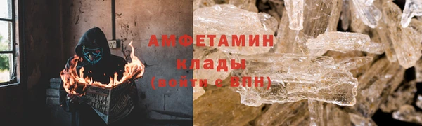 прущие грибы Абаза
