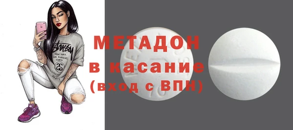 прущие грибы Абаза