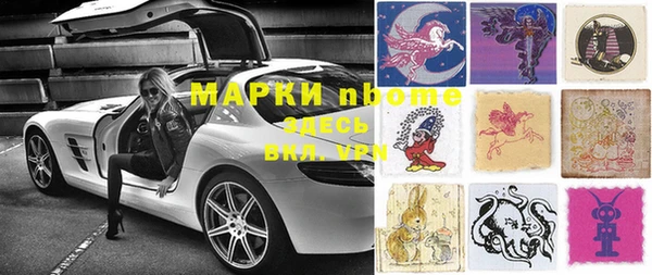 прущие грибы Абаза