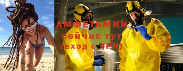 прущие грибы Абаза