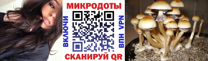 это клад  Фурманов  Псилоцибиновые грибы мицелий  цены  